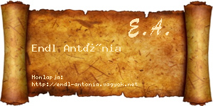 Endl Antónia névjegykártya