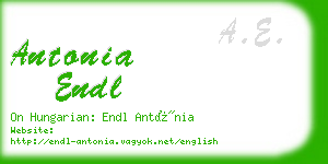 antonia endl business card